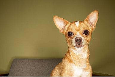 传闻：小岛秀夫新作将在2022 TGA上公布